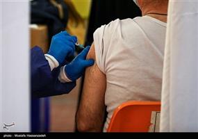 2367 مورد تزریق واکسن هاری از ابتدای طرح سلامت نوروزی تاکنون