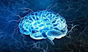 کشف جدید درباره تاثیر ناامیدی بر عملکرد مغز